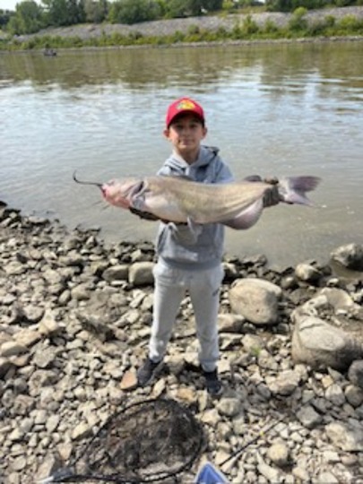 Channel Catfish