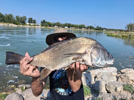 Freshwater Drum