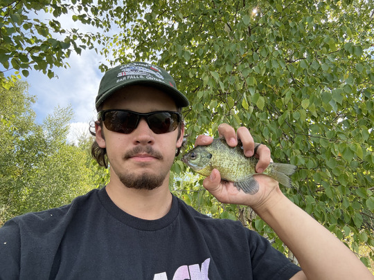 Sunfish