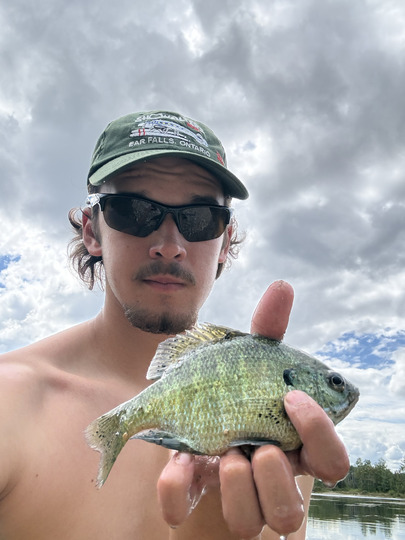 Sunfish