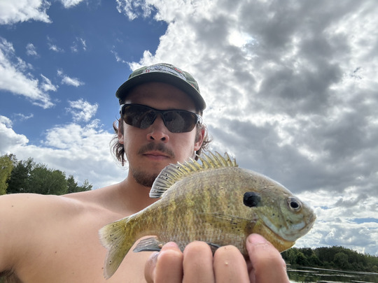 Sunfish