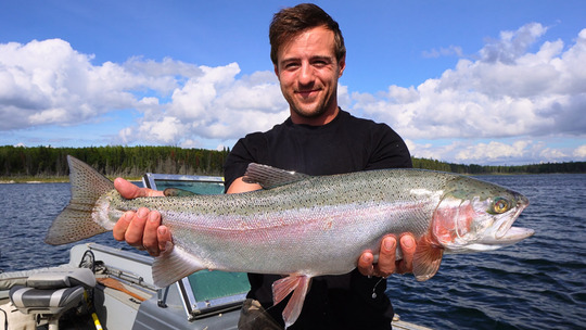 Rainbow Trout