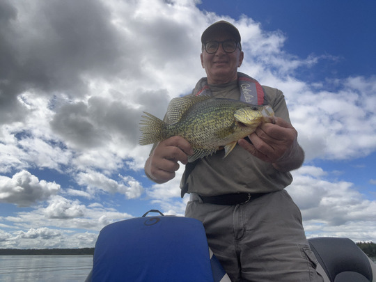 Black Crappie