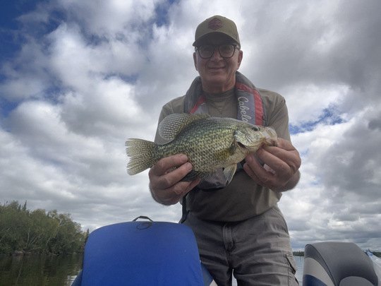 Black Crappie