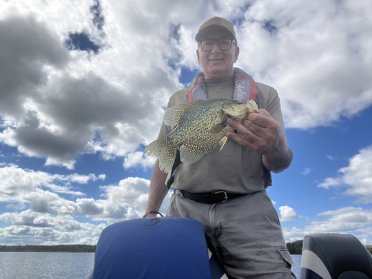 Black Crappie