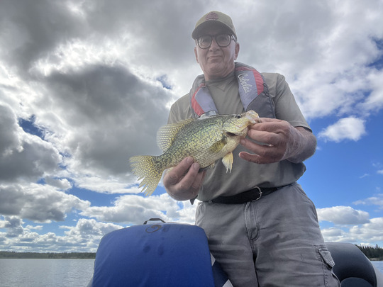 Black Crappie