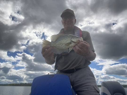 Black Crappie