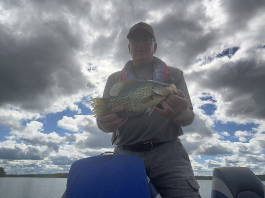 Black Crappie
