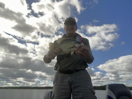 Black Crappie