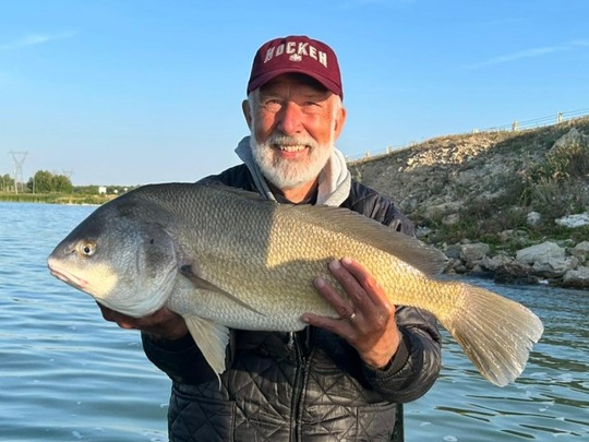 Freshwater Drum