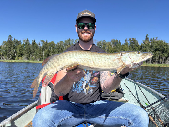 Muskellunge