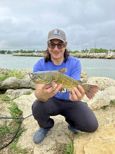 Bullhead