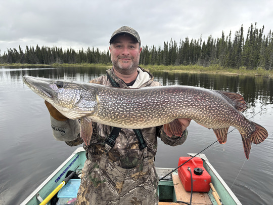 Northern Pike