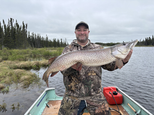 Northern Pike