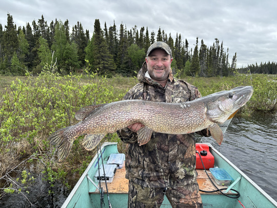 Northern Pike