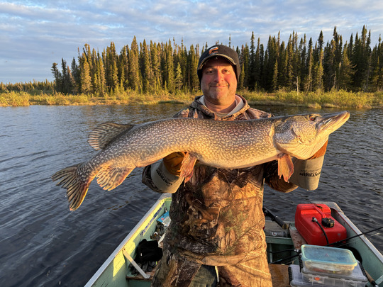 Northern Pike