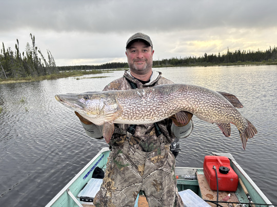 Northern Pike