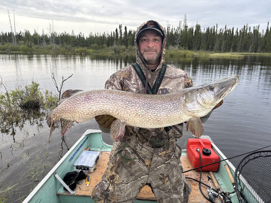 Northern Pike