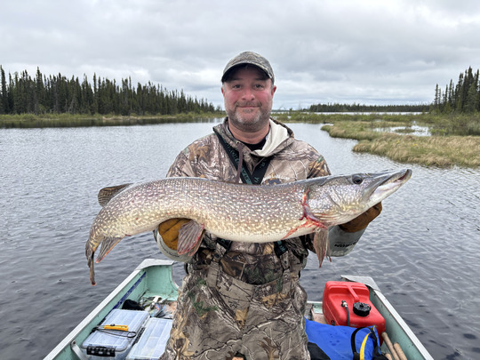 Northern Pike