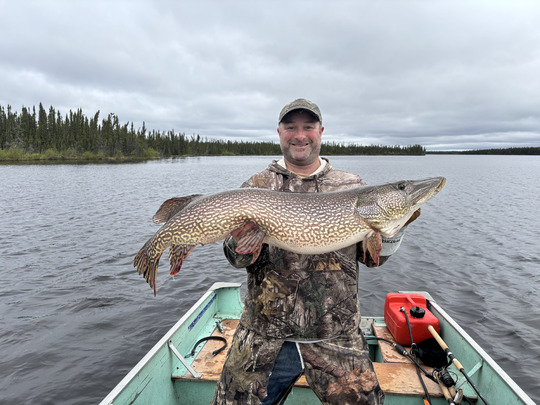 Northern Pike