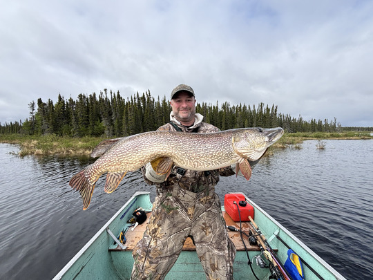 Northern Pike