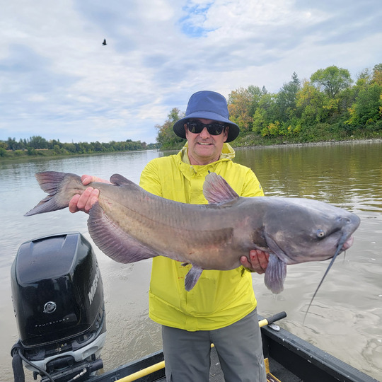 Channel Catfish