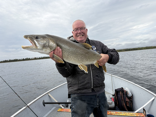 Lake Trout