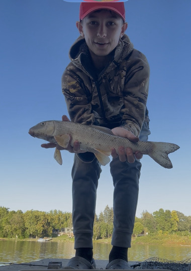 Sucker