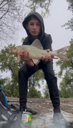 Sucker
