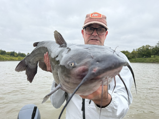 Channel Catfish