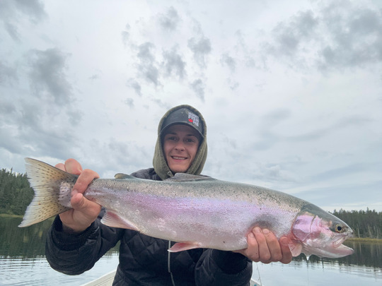 Rainbow Trout
