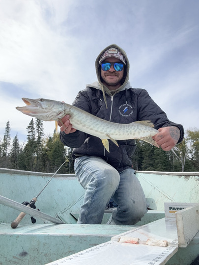 Muskellunge
