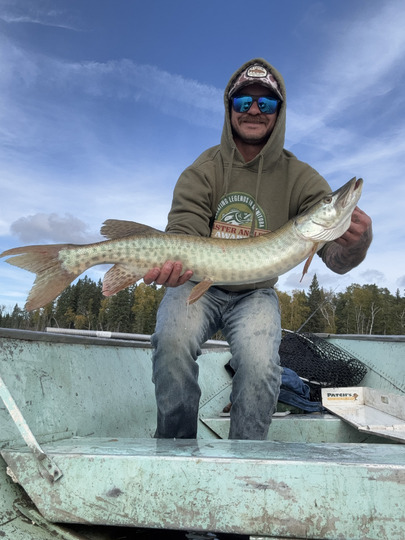 Muskellunge