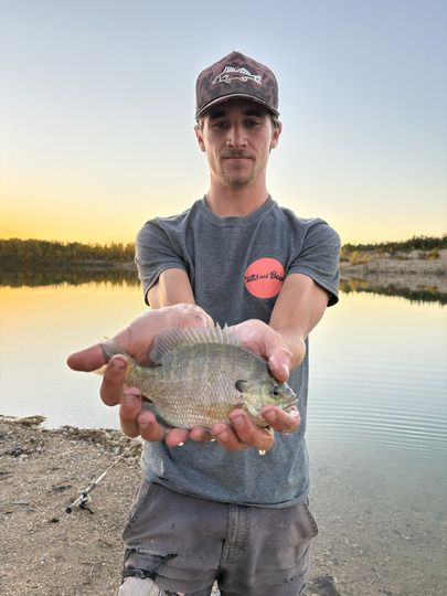Sunfish