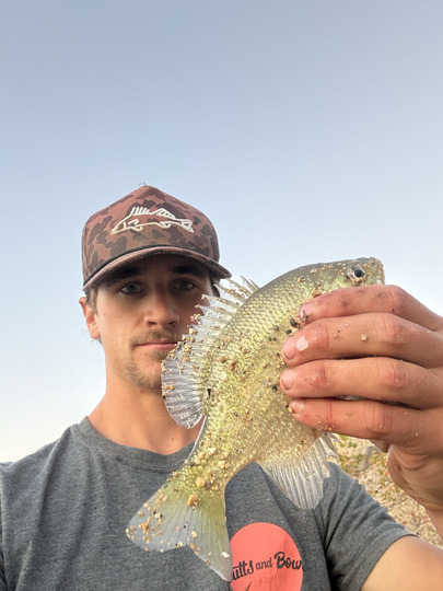 Sunfish