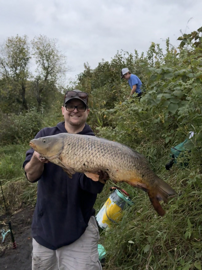 Common Carp