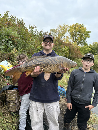 Common Carp