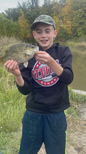 Rock Bass