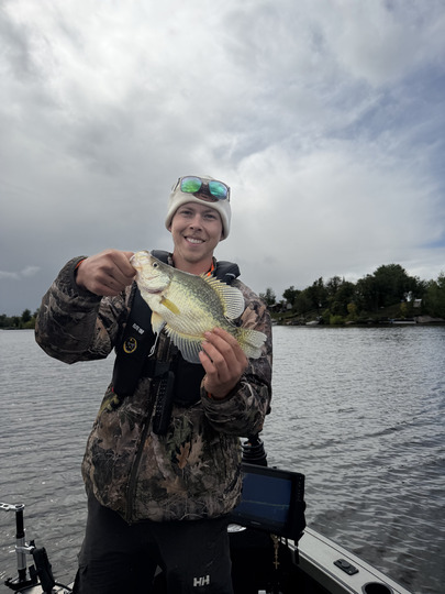 Black Crappie