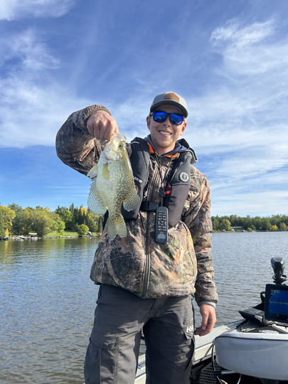 Black Crappie