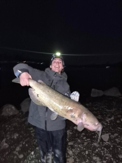 Channel Catfish