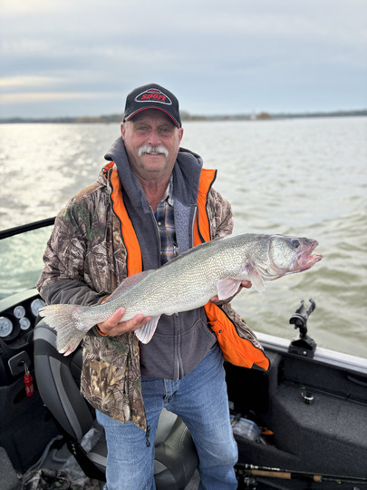 Walleye