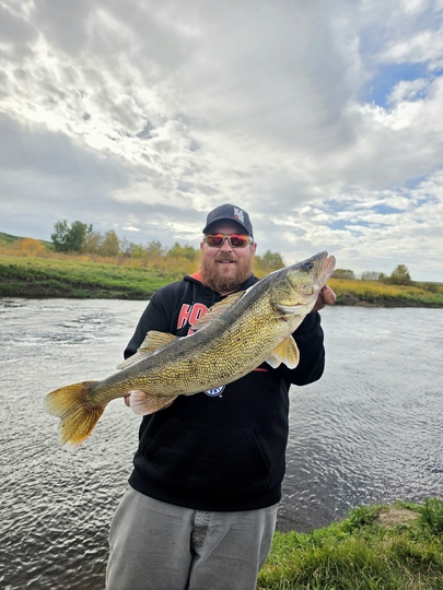 Walleye