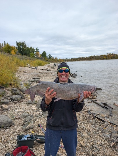 Channel Catfish