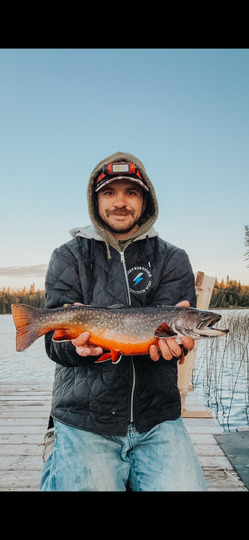 Brook Trout