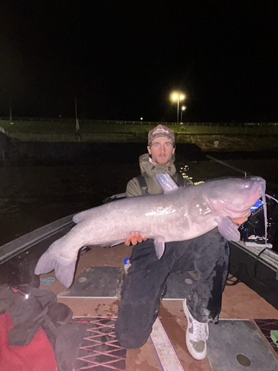 Channel Catfish