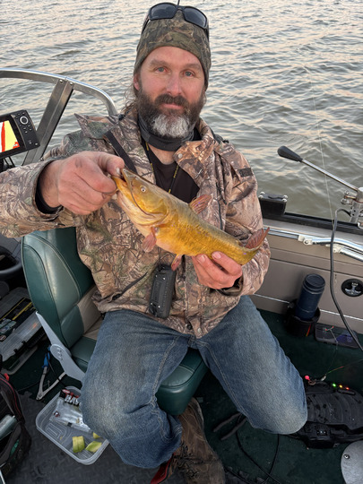 Bullhead