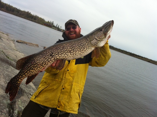 Northern Pike