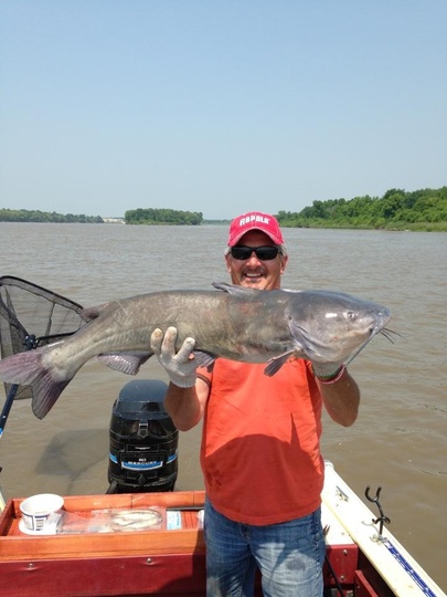 Channel Catfish