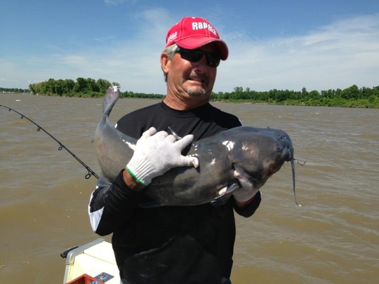 Channel Catfish